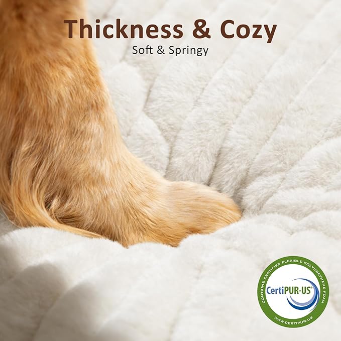 Dog Beds for Small Dogs, Flat Pet Beds with Removable Washable Cover, Pet Mat Cute Dog Crate Bed Thick Shredded Chopped Crate Foam & Anti Slip Bottom for Indoor, 23"x18"x3" Cream