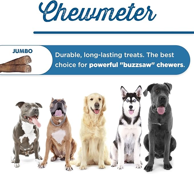 Best Bully Sticks Natural Jumbo Bully Sticks for Large Dogs - 6 Inch, 4 Count (Pack of 1) - 100% Free-Range Grass-Fed Beef, Single-Ingredient, Grain and Rawhide Free Long Lasting Dog Chews