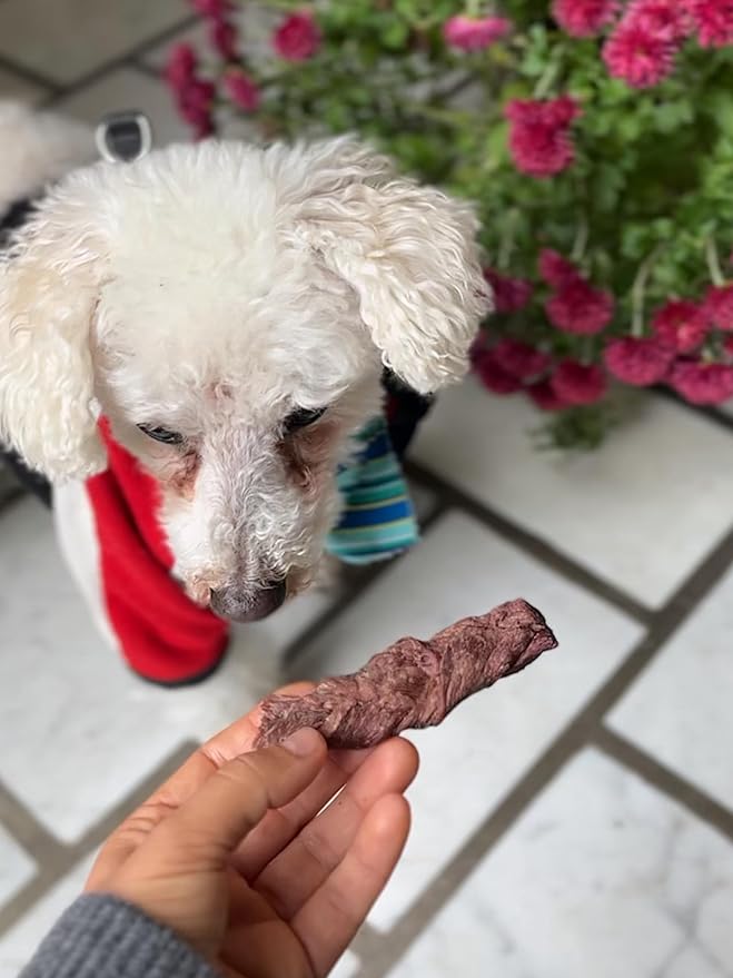 Moo Moo Beef Jerky, 100% USDA-Grade Beef, Freeze Dried, Healthy, All Natural, USA-Made, Single Ingredient Dog Treat