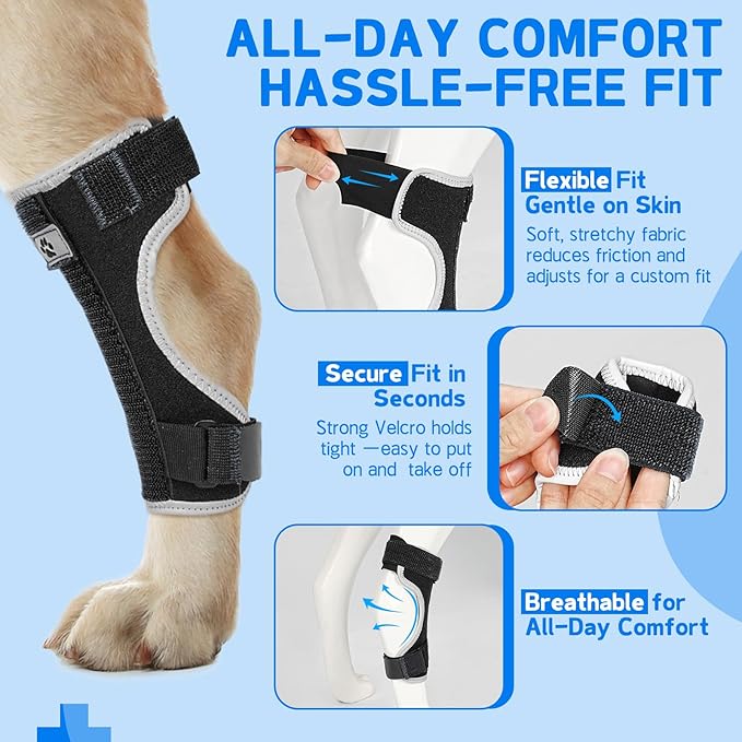 Dog Leg Brace Canine Rear Leg Support, Relieve Pain from Sprains, Arthritis, Enhancing Stability, Helps with Loss of Stability from Arthritis(Black,M)
