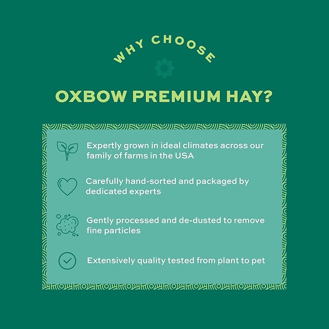 Oxbow Foraging Hay Blends Western Timothy & Teff, Hay for Rabbits, Guinea Pigs, Chinchillas, Small Pets, Supports Healthy Digestion, Premium High-Fiber, Small Pet Supplies, 40 oz Bag, Rabbit Food
