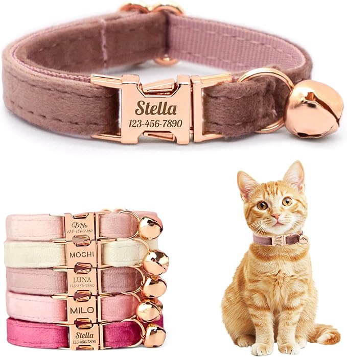 Personalized Non-Breakaway Cat Collar with Name, Luxury Soft Velvet Custom Engraved Name Collar with Bell for Kittens & Cats (Dusty Rose, S (6.5-10.5 inches))