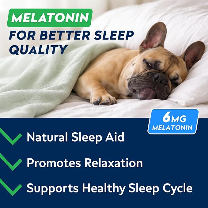STRELLALAB Melatonin for Dogs to Sleep 6mg - Doggie Sleep Aid Treats - Sleeping Pills for Anxiety - Extra Strength Calming Chews Large & Medium Breed Help Sleep at Night - Made in USA - 60Ct
