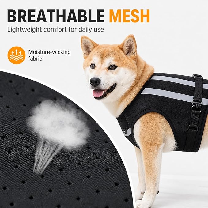 Dog Rear Leg Support Harness, Breathable Lift Assist for Large Dogs, Reflective Strips, Padded Handle for Stairs, Car Entry & Night Walks(XL)