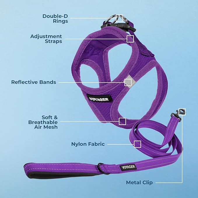 Best Pet Supplies Voyager Step-in Air All Weather Mesh Harness and Reflective Dog 5ft Leash Combo with Neoprene Handle, for Small, Medium and Large Breed Puppies - Set (Purple), X-Large