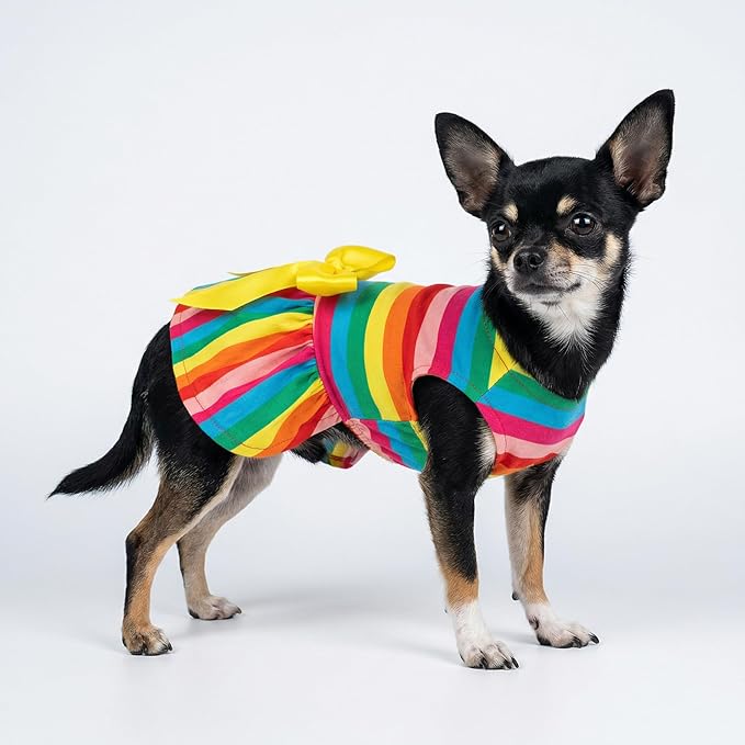 Fitwarm Rainbow Striped Dog Dress, Summer Dog Clothes for Small Dogs Girl, Pet Cat Outfit, 100% Breathable Cotton, Red Yellow Blue, Medium