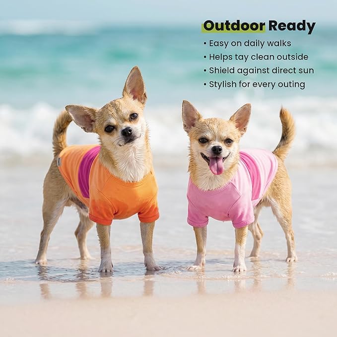 Fitwarm 3 Pack Color Block Striped Dog Shirt, Summer Dog Clothes for Small Dogs, Breathable Lightweight Dog Tshirt, Pet Outfit, Pink, Orange, Purple, XL
