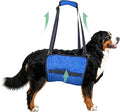 Adjustable Dog Lift Harness, Dog Carry Sling Provides Rear Leg Support for Arthritis and After ACL Surgery Dogs,Suitable for Medium to Large Dogs,XXL