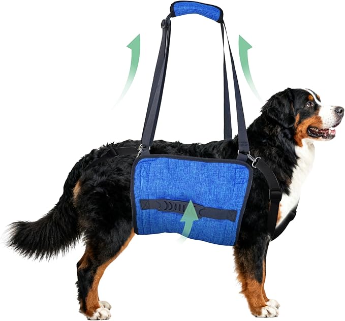 Adjustable Dog Lift Harness, Dog Carry Sling Provides Rear Leg Support for Arthritis and After ACL Surgery Dogs,Suitable for Medium to Large Dogs,XXL