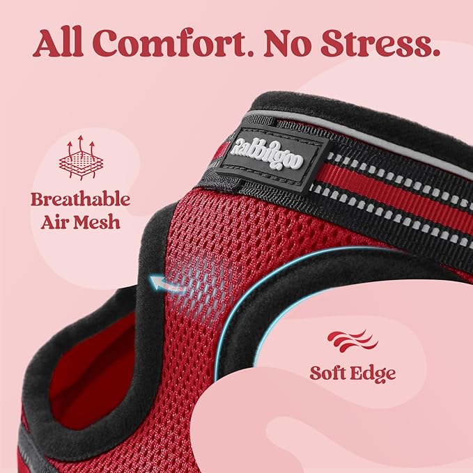 rabbitgoo Cat Harness and Leash Set for Walking Escape Proof, Adjustable Soft Kittens Vest with Reflective Strip for Cats, Comfortable Outdoor Vest, Red, L