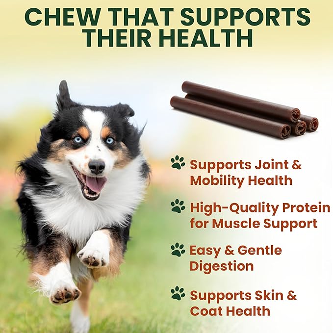 10 Pack 6 Inch Beef Collagen Sticks Chewable for Dogs – Rawhide Alternative Chews, Single Ingredient, Long Lasting Dental Treats, High Protein Natural Dog Chews for Small to Medium Dogs