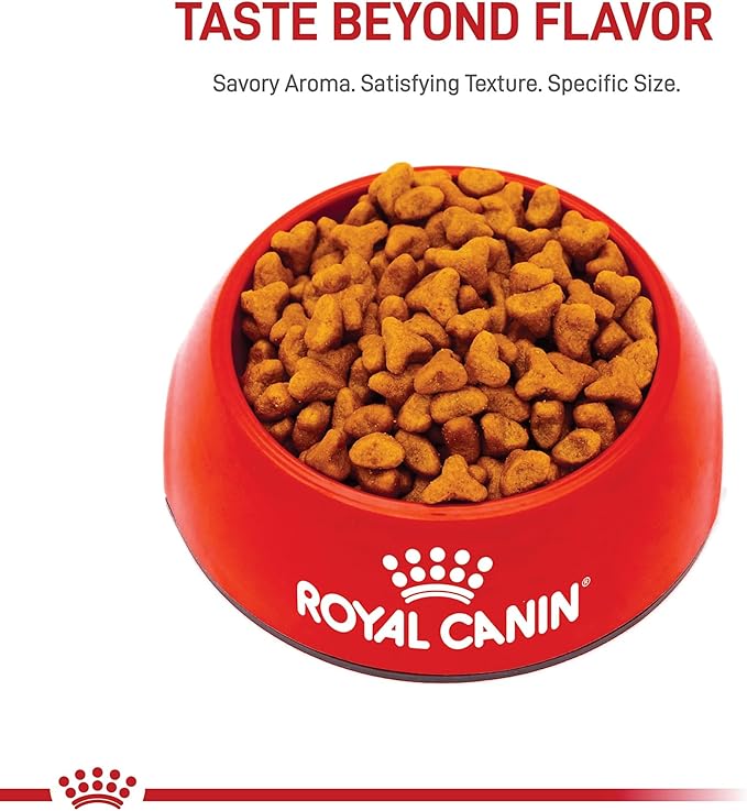 Royal Canin Breed Health Nutrition Pug Adult Dry Dog Food, 10 lb Bag