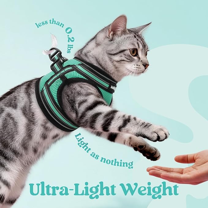 rabbitgoo Cat Harness and Leash Set for Walking Escape Proof, Adjustable Soft Kittens Vest with Reflective Strip for Cats, Comfortable Outdoor Vest,Green,S