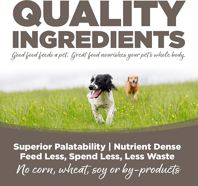 NutriSource Dry Dog Food for Seniors, Chicken and Rice, 12LB