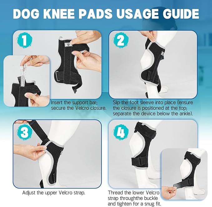 Supet Dog Leg Brace for Back Leg - Hock & Ankle Joint Support for Rear Legs with 2 Metal Springs, Anti-Slip Design & Reflective Trim for Sprain, Arthritis, Injury & Wound Recovery (Black, 2XL)