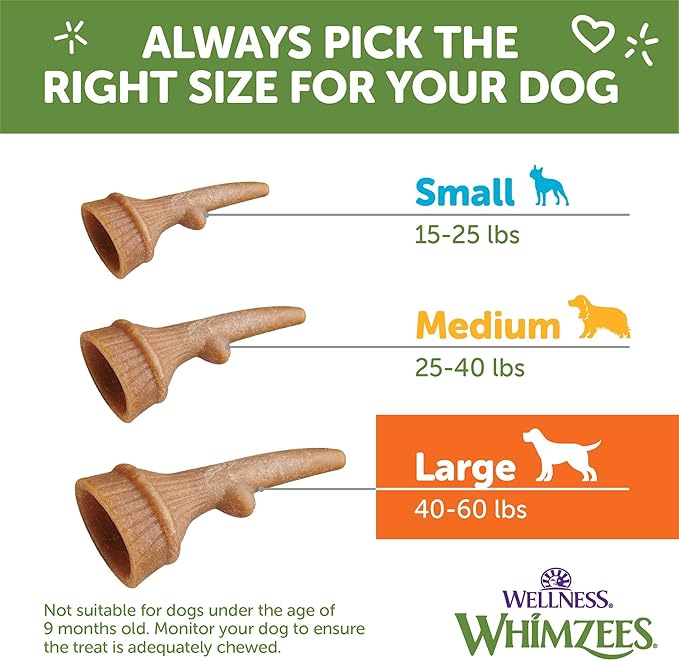 WHIMZEES Wellness Occupy Dog Dental Treats, Large Size, (6 Count)