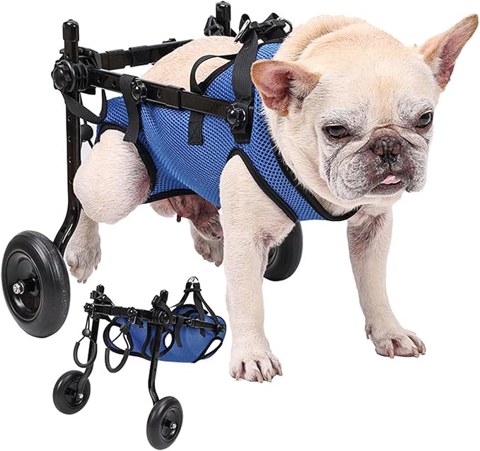 Small Dog Wheelchair for Back Legs - Adjustable Mobility Aid for Disabled Pets, Leg Brace and Hip Support