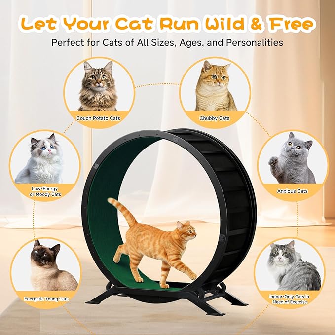 GTRACING Cat Wheels, 40" Diameter, Large Cat Exercise Wheel for Indoor Cats cat Treadmill Metal with Detachable Carpet & Teaser/Stickers, Ultra-Quiet Scroll Wheel with Latch, Safe and Stable, Green
