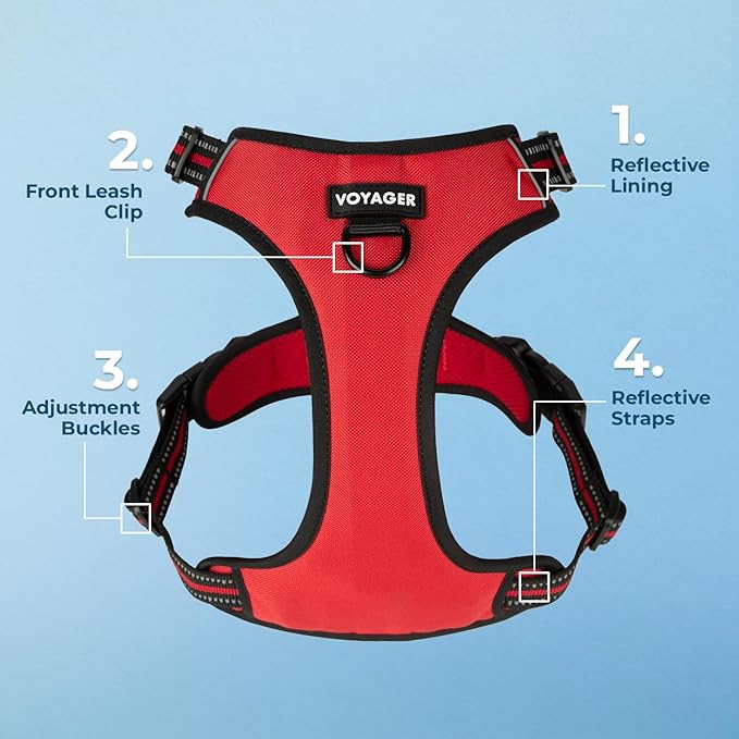 Voyager Dog Harness Dual Leash Attachment No-Pull Control Adjustable Soft but Strong Pet Harness for Medium and Large Dogs with 3M Reflective Technology, Leash Set Red Nylon, S (Chest: 16-20")