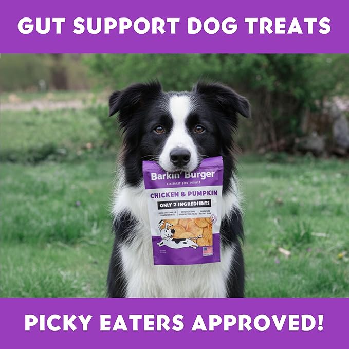 Barkin Burger - Only 2 Premium Ingredients. All Natural Dog Treats - Grain Free, Free from Fillers and Preservatives - Perfect for Sensitive Stomachs, Made in USA (5oz, Chicken & Pumpkin)