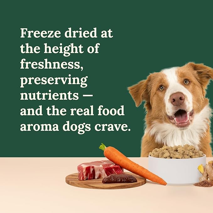 360 Pet Nutrition Freeze-Dried Raw Dog Food – Beef Recipe with Liver & Organs, High Protein with Omega-3s, Fruits, Veggies & Superfoods, Grain-Free, No Fillers, 1 lb – Made in USA