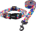 Ihoming Puppy Collar and Leash Set for Daily Outdoor Walking Running Training, Geometric Design for Extra Small Boys Girls Dogs Cats Pets, XS-Up to 10LBS