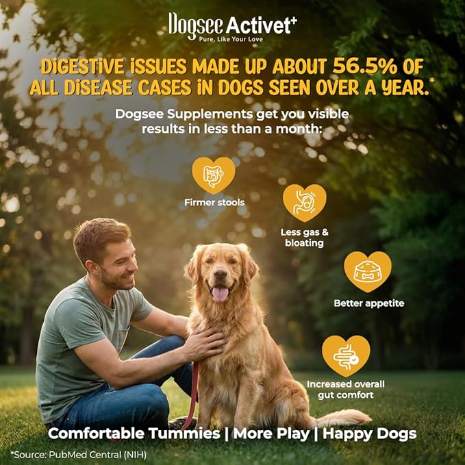 Dogsee Activet+ Dog Gut Health Supplement Chews, with Probiotics, Prebiotics, Digestive Enzymes & Fiber, Digestion & Regularity Support, Chicken Flavor – 90 Chews