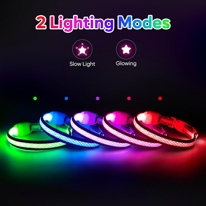 Flashseen LED Dog Collar, Light Up Dog Collar USB Rechargeable, Brightest Dog Lights for Night Walking, Adjustable Dog Collar Light for Dog Safety (Green, X-Small)