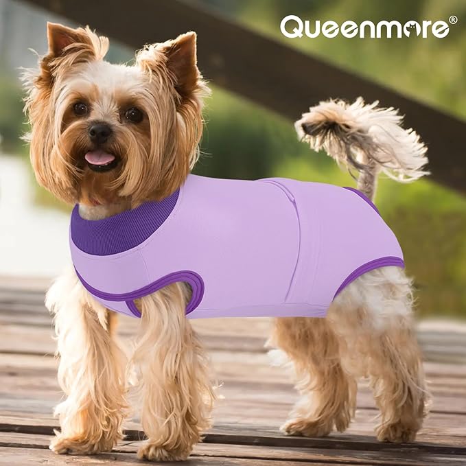 Queenmore Dog Surgical Recovery Suit Onesie, Recovery Suit for Dogs Cats After Surgery, Anti Licking Pet Female Post-Operative Spayed Neutered Shirt, Substitute E-Collar & Cone, Purple,3XL