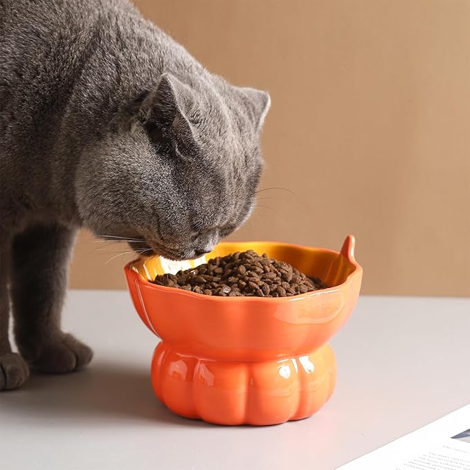 Cute Pumpkin Shaped Bowl, Ceramic Raised Cat Bowl for Food or Water, Anti Vomiting & Whisker Friendly, 9 oz Small Elevated Cat Dish for Indoor Flat Faced Cats and Kitten