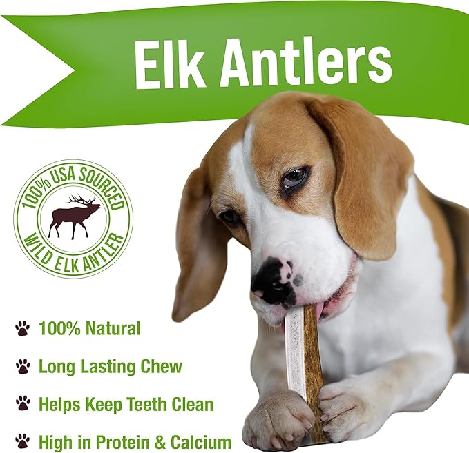 Buck Bone Organics Elk Antler Split Dog Chew (Medium)