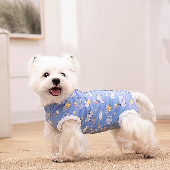 2 Packs Pet Dog Recovery Onesie Suit for Dogs Cats After Surgery,Dog Abdominal Wounds Bandages Cone E-Collar Alternative. (Blue, XXL)