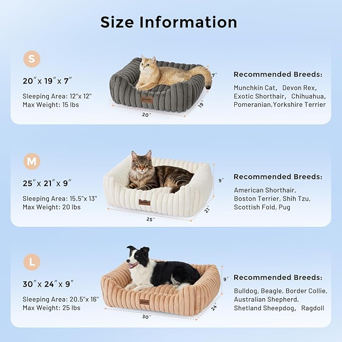 Small Dog Beds for Small Dogs - Washable Cat Beds for Indoor Cats, Rectangle Orthopedic Puppy Bed with Fluffy Removable Cover, 20x19x7inches, Cream