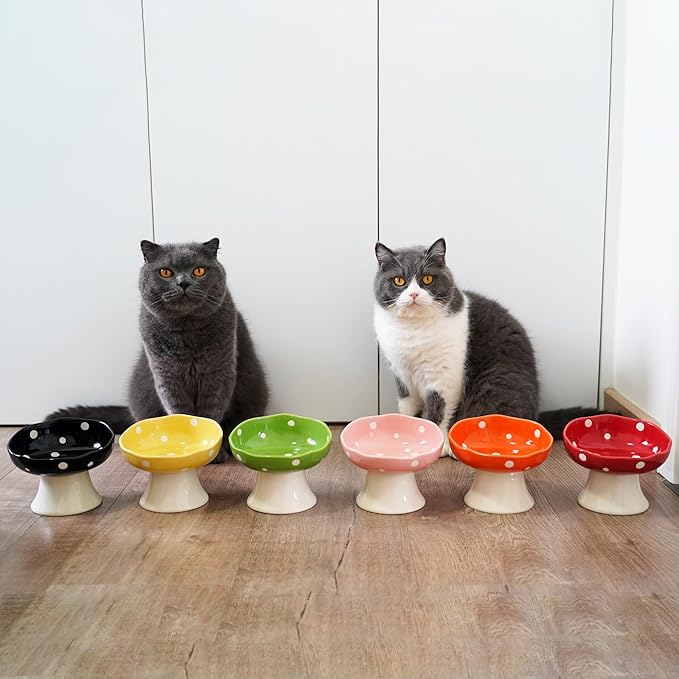 Ceramic Elevated Cat Bowls, Tilted Raised Pet Dish Anti Vomit Kitten Bowl for Indoor Cats, Whisker Friendly Pet Food and Water Bowl for Kitten, Cat, Puppies, Dishwasher Safe (Green)