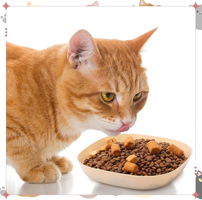 Tioncy 24 Pcs Fatigue Relief Cat Bowl 5.7 Inch Shallow Cat Food Dish Wide and Small Pet Wet Feeding Bowl for Kitten Short Legged Kitten Ferrets Feral Small Animals(Pink, Beige,Classic)