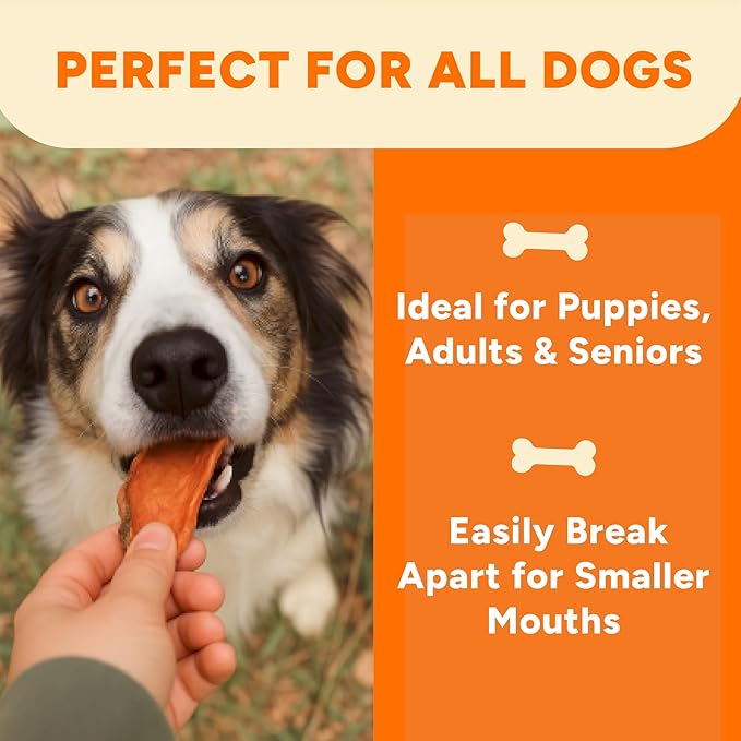 Gaines Family Farmstead Sweet Potato Chews for Dogs, 8 oz Bag – Single Ingredient Sweet Potato Dog Treats, High Fiber, Grain-Free, Rawhide Alternative, Vitamin-Rich, Made in The USA