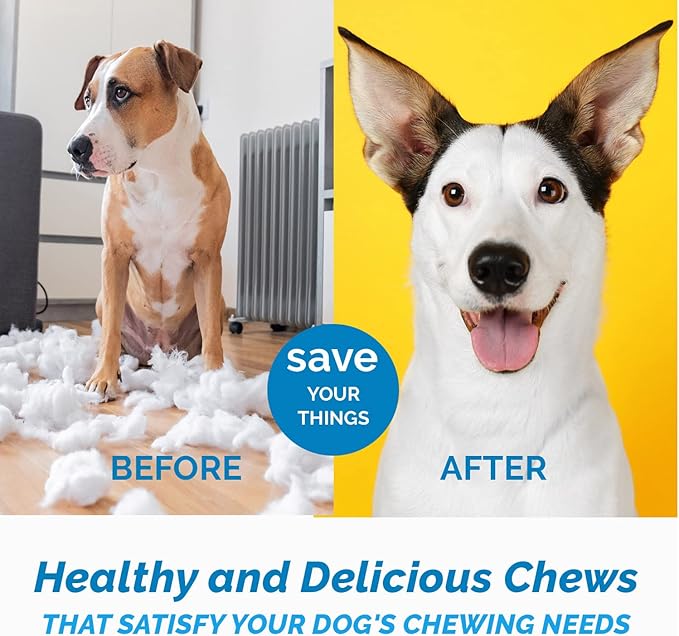 123 Treats Buffalo Horns for Dogs – (3 Count), Small 5-7 inches, Long Lasting Dog Treats for Aggressive Chewers, 100% Natural, Rich in Protein & Low in Fat, Support Dental Health