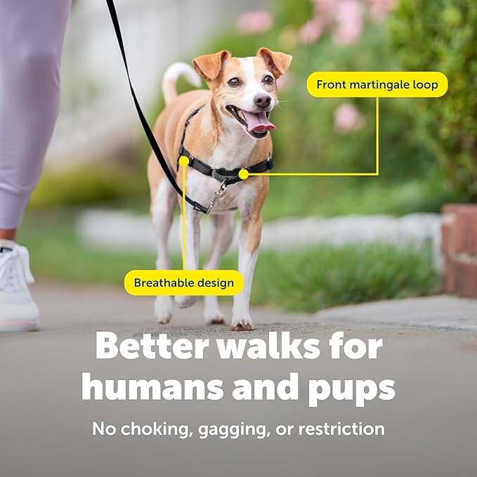 PetSafe Easy Walk Harness for Dogs - Pull-Free Walks - Patented Martingale Loop Design - Front Chest Leash Attachment - Comfort Straps - Breathable Harness Design - Small, Black/Silver