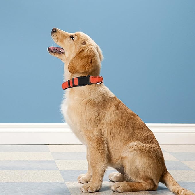 Reflective Dog Collar, Adjustable Soft Neoprene Padded Nylon Pet Collars with Buckle for Extra Large Dogs, Orange,XL