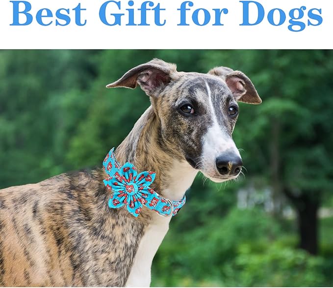 Unique style paws Valentine's Day Dog Collar with Flower Tie Blue Heart Puppy Collar Best Gift for Small Medium Large Boys Girls-S