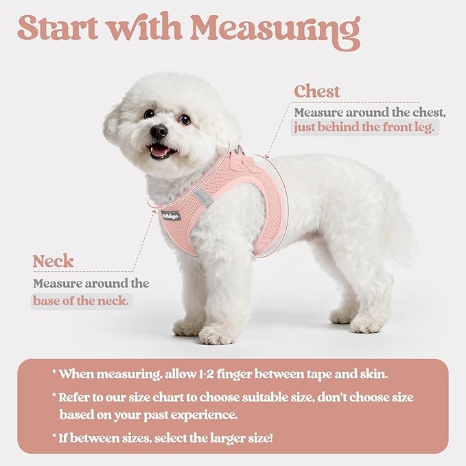 rabbitgoo Dog Harness Small Sized and Leash Set, Step in Soft Light Puppy Vest, Breathable Mesh Pet Harness, Reflective for Outdoor Safe Walking, Pink XL
