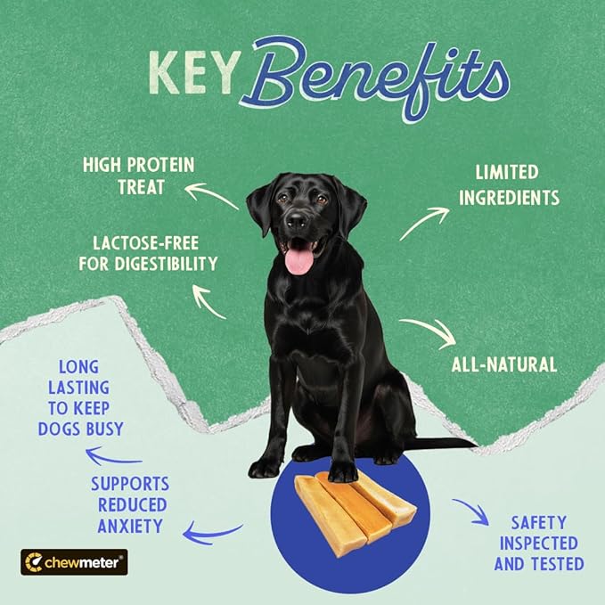 Chewmeter Himalayan Yaky Cheese Chew, 100% Natural, Long Lasting, Gluten Free, Healthy & Safe Dog Treats, Lactose & Grain Free, Protein Rich, Stain Free, Large, for Dogs 55 Lbs & Smaller, 3.3 oz