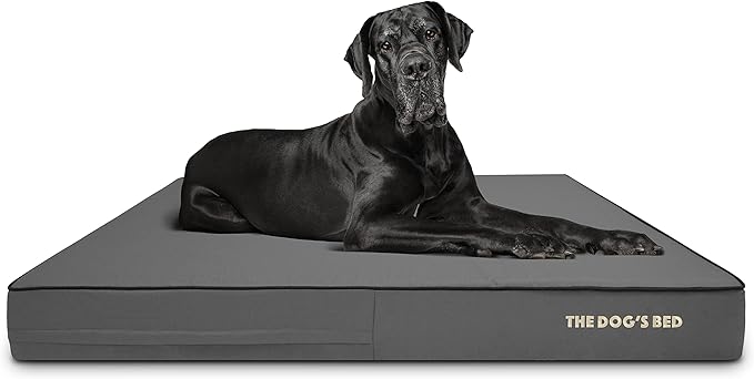 The Dog’s Bed Orthopedic Memory Foam Dog Bed for XXL Dogs, Waterproof Washable Cover, Anti-Slip Base, Calming Surface – CertiPUR-Certified Foam, Grey with Black Trim, 6 Inch Thick