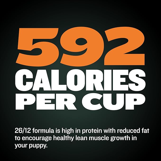 Bully Max Wet Dog Food for Adults & Puppies - Dehydrated High Protein Instant Fresh Soft Dog Food with Chicken - Healthy Muscle Growth for Small & Large Breeds - 2 Dry Pounds (Makes 5.5 lbs. Wet Food)