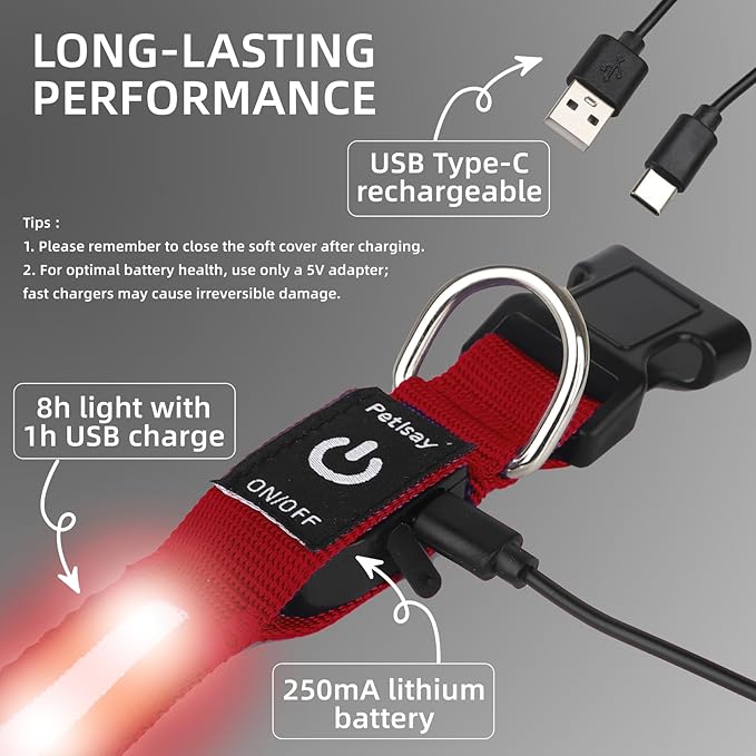 LED Dog Collar for XSmall Dogs & Toy Breeds – USB-C Rechargeable Light Up Dog Collar, Fully Waterproof Adjustable Glow Collar for Night Walking & Safety(Red,XS)