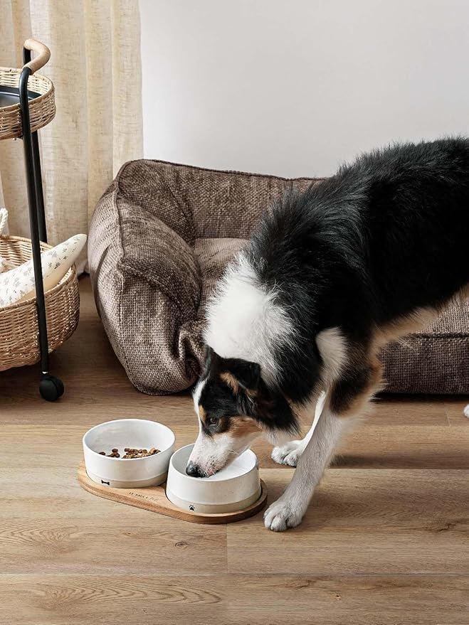 LE TAUCI PET Ceramic Dog Bowls for Medium and Small Dogs - 3.2 Cup Weighted Non-Slip Food and Water Bowls with Acacia Wood Tray, Pet Bowl Set of 2