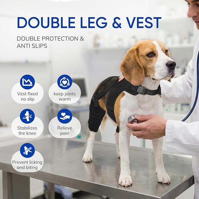 Dog Knee Brace for Torn ACL Hind Legs with Vest, Adjustable Dog Leg Brace with 4 Stabilizers, Hip Support to Reduce Pain, CCL Tear Recovery & Arthritis Ligament Injuries & Luxating Patella (X-Large)