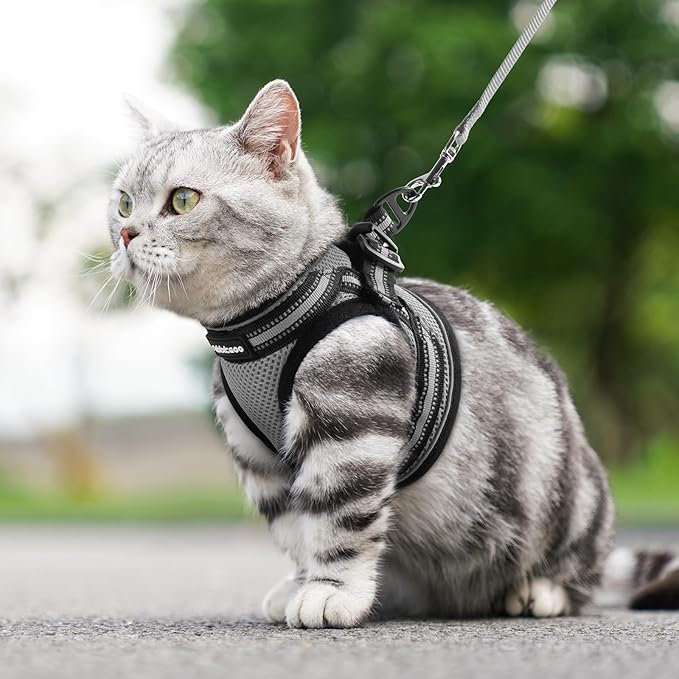 rabbitgoo Cat Harness and Leash Set for Walking Escape Proof, Adjustable Soft Kittens Vest with Reflective Strip for Cats, Comfortable Outdoor Vest, Grey, L