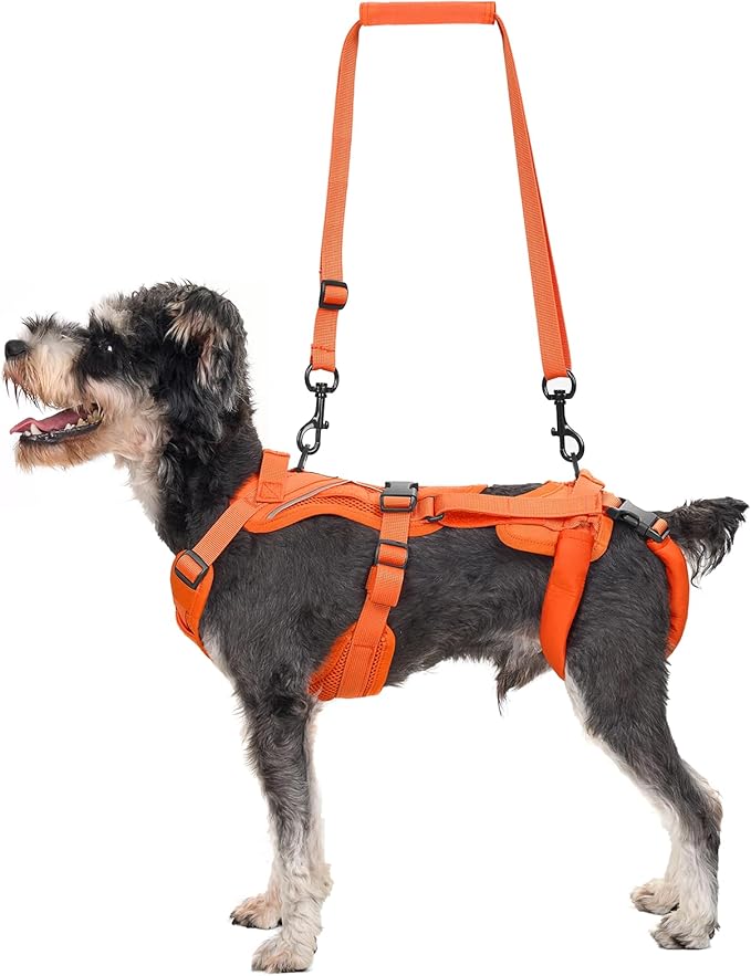 OneTigris Lift Harness for Small Dogs XS, Sling Carrier to Help Lift and Walk, Outdoor Full Body Support with Reflective Straps for Back Legs