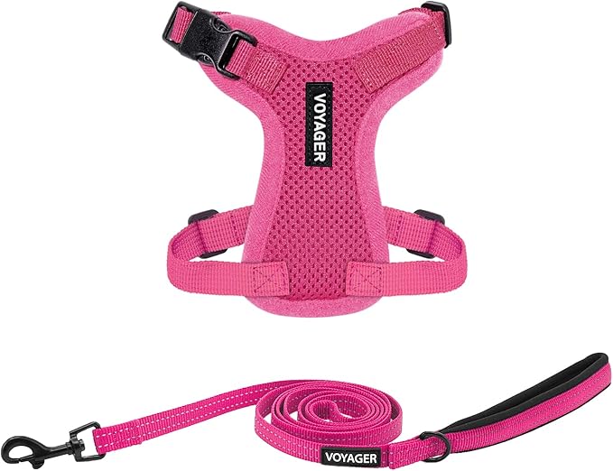 Best Pet Supplies Voyager Step-in Lock Pet Harness w Reflective Pet Leash Combo Set with Neoprene Handle 5ft - Supports Small, Medium and Large Breed Puppies/Cats - Fuchsia, XXS